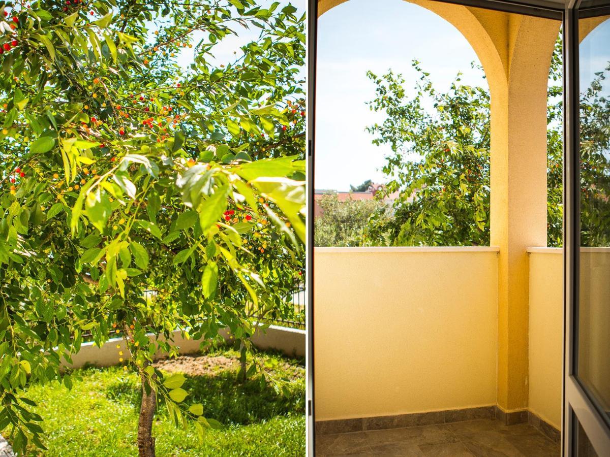 Olive Tree Apartments Split Dış mekan fotoğraf